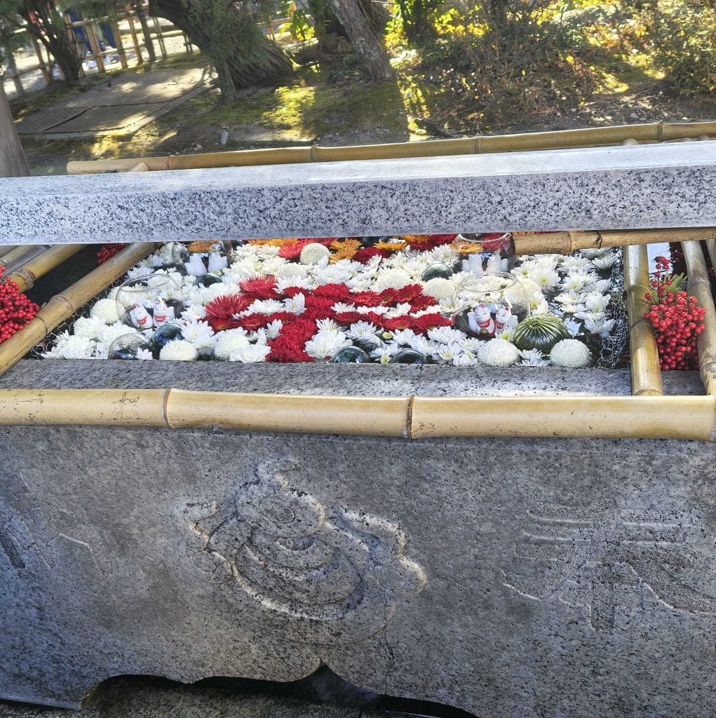 IMG 20260102 105038406 HDR