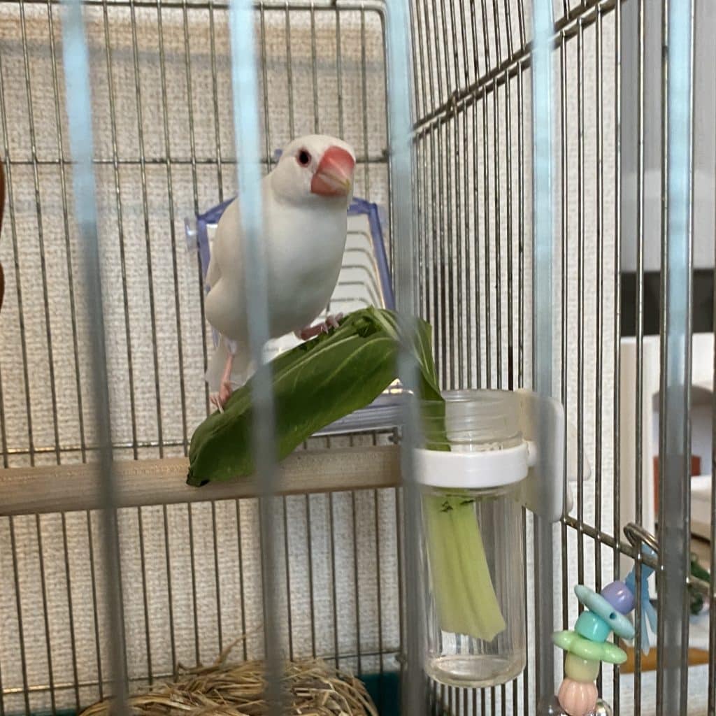 8F2B61D3 0523 4899 8E28 1C27ABB5382D1